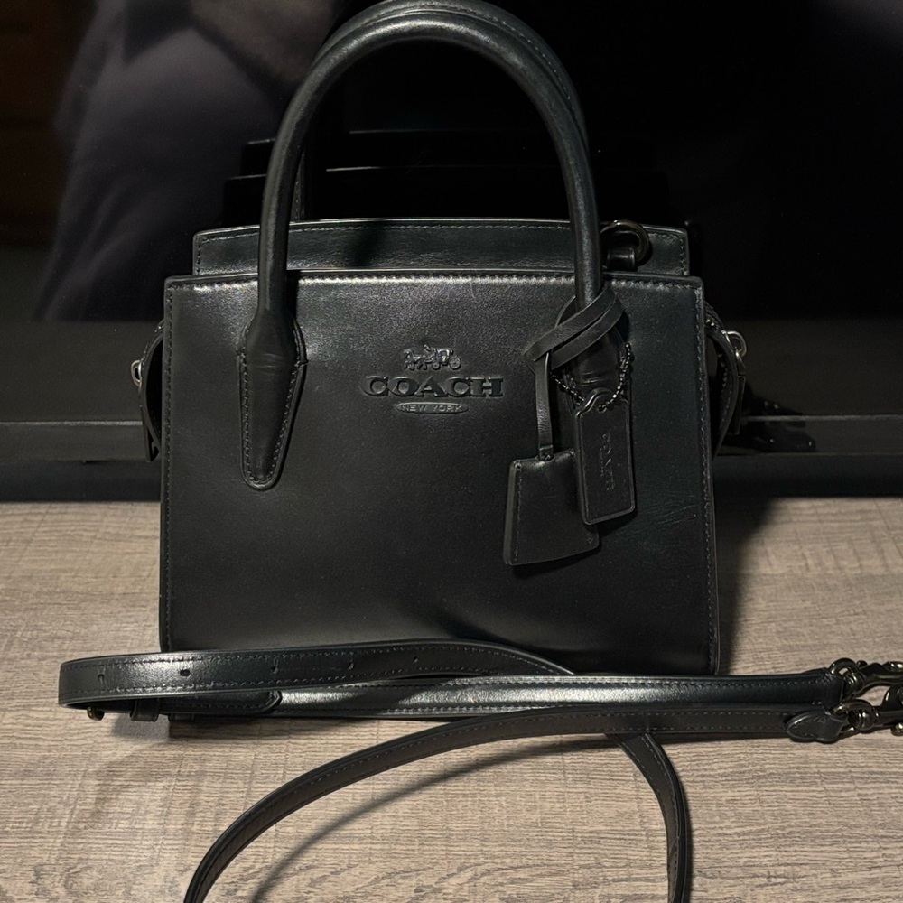 Coach Andrea Carryall Crossbody Bag